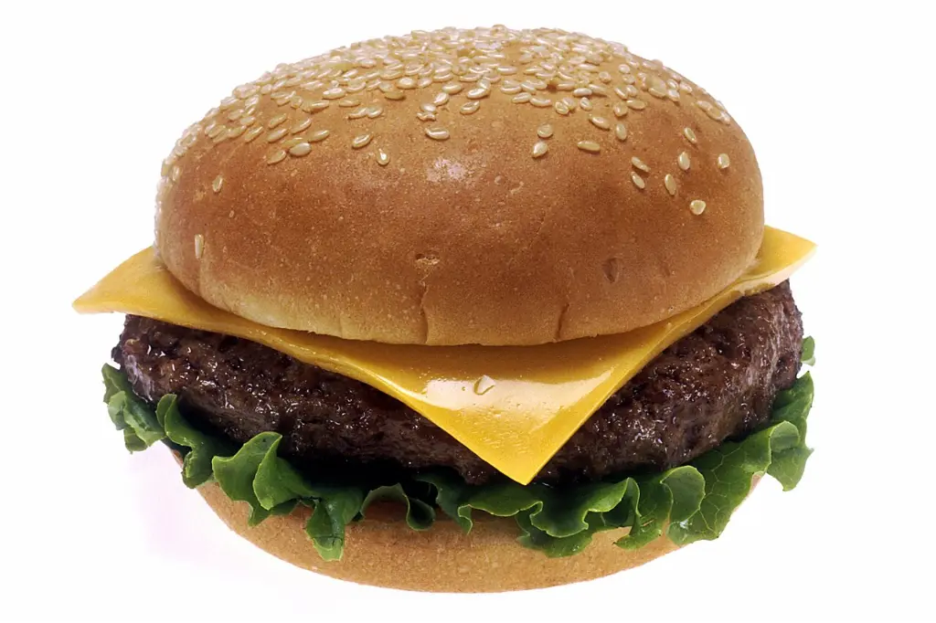 Cheeseburger.webp
